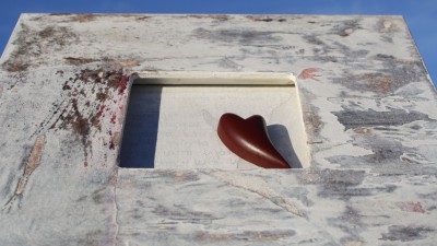 Bilder Bilder