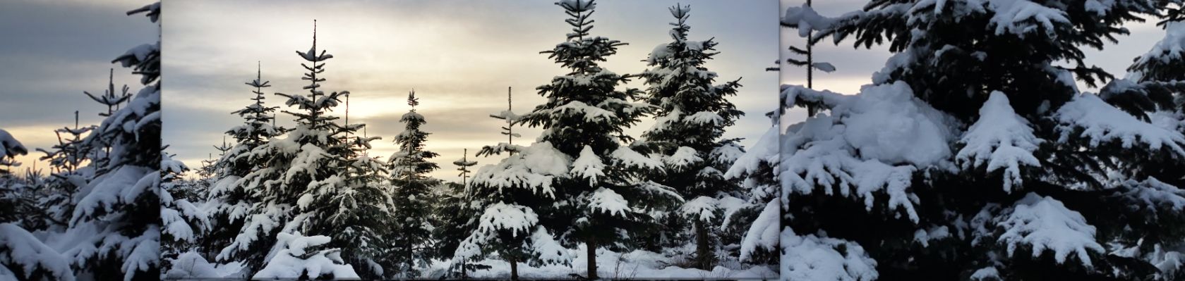 Frohe-Weihnachten-2022-und-Neujahr-2023-Gittas-Verkstad