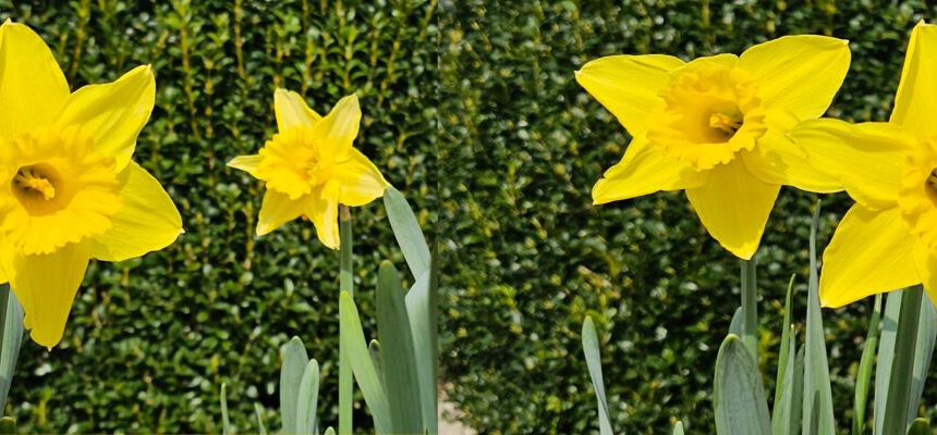 Ostermarkt-2026-Gittas-verkstad