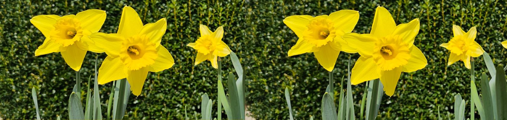 Paskmarknad-2026-Gittas-verkstad