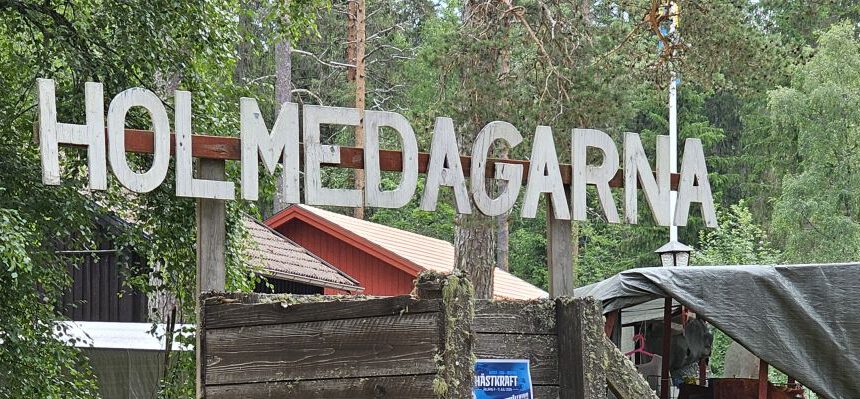 Skyltet Holmedagarna och marknadsplatsen